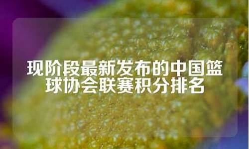 中国篮球联赛最新积分榜-中国篮球联赛最新积分榜