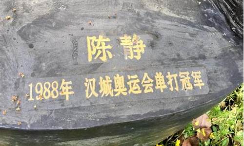 历界奥运会湖北籍冠军-湖北省历届奥运会金牌