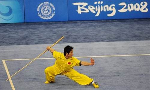 奥运会武术比赛观后感300字-奥运会武术比赛观后感