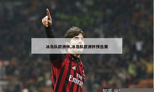 冰岛拿过欧洲杯冠军-冰岛无缘2021欧洲杯